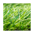 Best-selling artificial turf carpets grass silk garden artificial green blanket